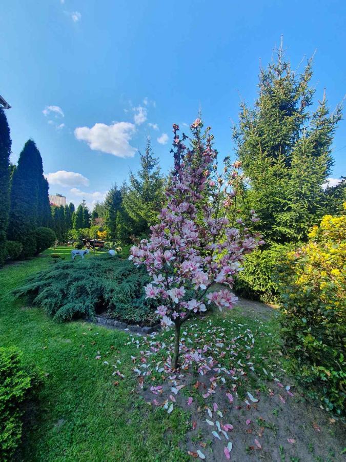 Hotel Дом Для Души С Бассейном Целиком Winnica Zewnętrze zdjęcie